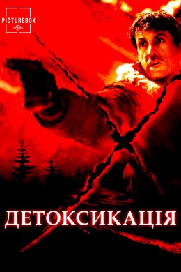 Детоксикація